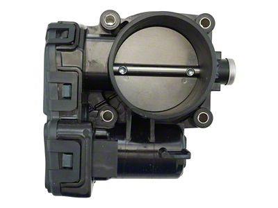 Throttle Body Assembly (07-11 3.7L Dakota)