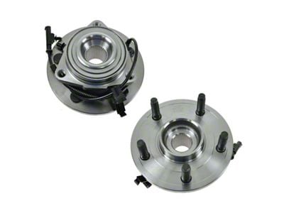 Wheel Bearing and Hub Assembly Set; Front (05-11 Dakota)