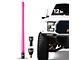 EcoAuto Flexible Replacement Antenna; 12-Inch; Pink (97-24 F-150)