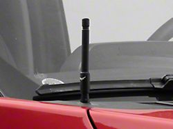 EcoAuto Flexible Replacement Antenna; 5-Inch; Black (97-24 F-150)