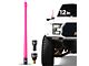 EcoAuto Flexible Replacement Antenna; 12-Inch; Pink (11-24 F-250 Super Duty)