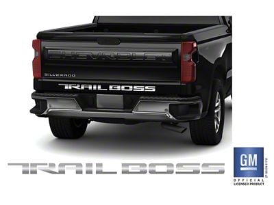 Emblems Plus TRAIL BOSS Tailgate Lettering Decals; Gloss Silver (19-25 Silverado 1500 Trail Boss)