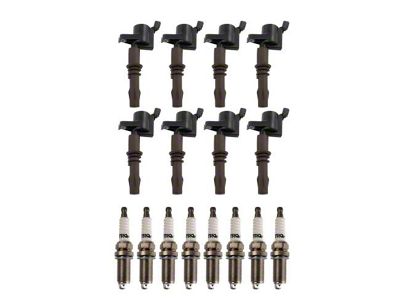 16-Piece Ignition Kit (09-10 4.6L 3V F-150)