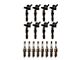 16-Piece Ignition Kit (09-10 4.6L 3V F-150)