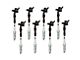 16-Piece Ignition Kit (08-10 5.4L F-150; 09-10 4.6L 3V)