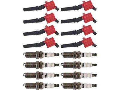 16-Piece Ignition Kit (97-03 5.4L F-150; 97-10 4.6L 2V F-150)