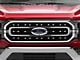 38-Piece Grille Accent Trim; Stainless Steel (21-23 F-150, Excluding Raptor)