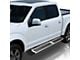 6-Inch Running Boards; Silver (15-20 F-150 SuperCrew)