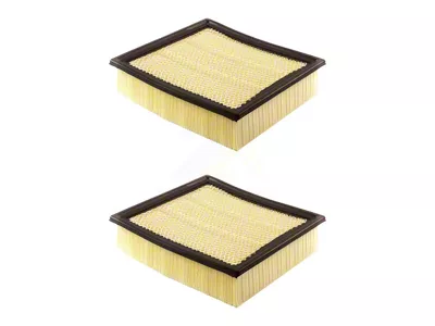 Air Filter; 2-Pack (09-25 F-150, Excluding Raptor R)