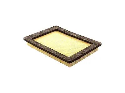 Air Filter (04-08 5.4L F-150)