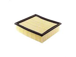 Air Filter (09-24 F-150)