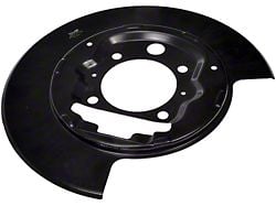 Brake Backing Plate; Passenger Side (04-08 F-150)