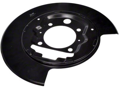 Brake Backing Plate; Passenger Side (04-08 F-150)