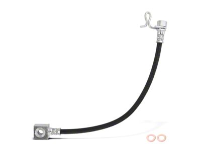 Brake Hydraulic Hose; Outer Rear Driver Side (10-11 F-150 Raptor)