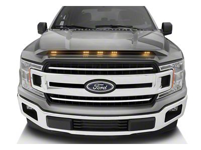 Aeroskin LightShield Color-Match Hood Protector; Ingot Silver (15-20 F-150, Excluding Raptor)