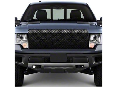 Custom-Fit Winter Front and Bug Screen (09-14 F-150)