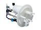 Electric Fuel Pump Module (06-08 5.4L F-150)