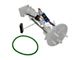 Electric Fuel Pump Module (06-08 5.4L F-150)