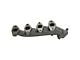 Exhaust Manifold; Driver and Passenger Side (04-09 5.4L F-150)