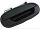 Exterior Door Handle; Rear Right; Textured Black; Plastic (01-03 F-150 SuperCrew)