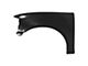 CAPA Replacement Fender with Fender Flare Holes; Front Driver Side (04-08 F-150)