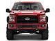 Ruff Riderz Fender Flares; Textured Black (15-17 F-150, Excluding Raptor)