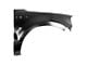 CAPA Replacement Fender without Fender Flare Holes; Front Passenger Side (04-08 F-150)
