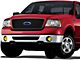 Fog Lights with Switch; Amber (06-08 F-150)