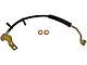 Front Brake Hydraulic Hose; Passenger Side (97-03 4WD F-150)