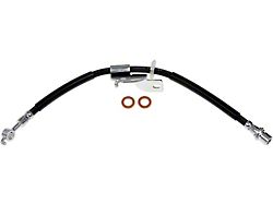 Front Brake Hydraulic Hose; Passenger Side (15-20 F-150, Excluding Raptor)