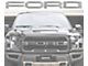 Front Grille Letter Overlays; Ingot Silver (17-20 F-150 Raptor)