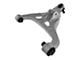 Front Lower Control Arm with Ball Joint; Driver Side (04-08 F-150)