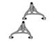 Front Lower Control Arms with Ball Joints (04-08 F-150)