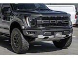 Front Lower Grille Trim Molding; Carbon Fiber (21-25 F-150 Raptor)