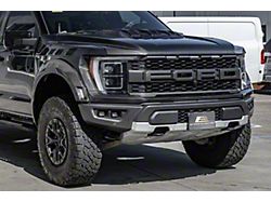 Front Lower Grille Trim Molding; Carbon Fiber (21-25 F-150 Raptor)