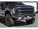 Front Lower Grille Trim Molding; Carbon Fiber (21-24 F-150 Raptor)