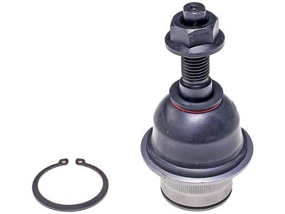 Front Lower Suspension Ball Joint (09-14 F-150)