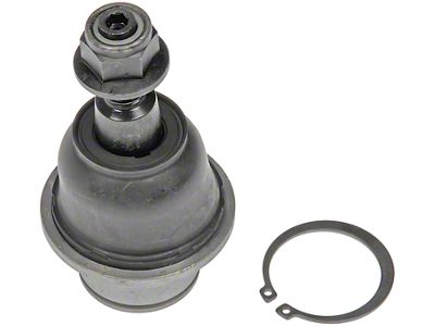 Front Lower Suspension Ball Joint (15-20 F-150)