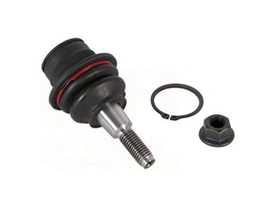 Front Lower Suspension Ball Joint (15-20 F-150)