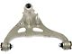 Front Lower Suspension Control Arm; Driver Side (04-08 F-150)