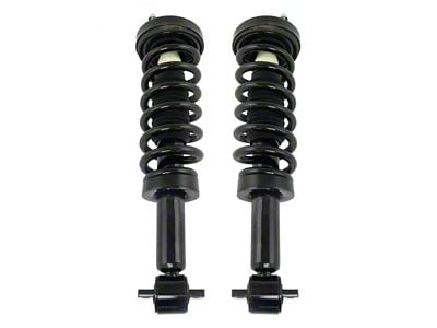 Front Strut and Spring Assemblies (2014 2WD F-150)