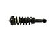 Front Strut and Spring Assemblies (2014 2WD F-150)