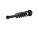 Front Strut and Spring Assemblies (09-13 2WD F-150)