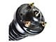 Front Strut and Spring Assemblies (09-13 4WD F-150)