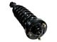 Front Strut and Spring Assemblies (04-08 2WD F-150)