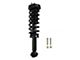 Front Strut and Spring Assemblies (15-17 4WD F-150)