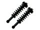 Front Strut and Spring Assemblies with Rear Shocks (04-08 2WD F-150)