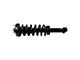 Front Strut and Spring Assemblies with Rear Shocks (15-17 4WD F-150)