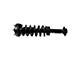 Front Strut and Spring Assemblies with Rear Shocks (15-17 4WD F-150)