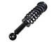 Front Strut and Spring Assemblies with Sway Bar Links (09-13 4WD F-150)